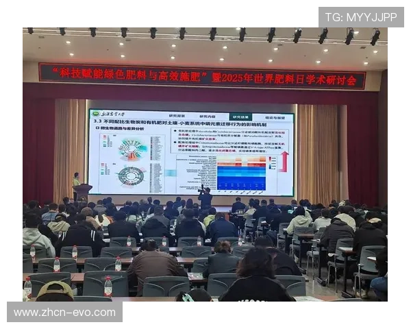 围绕桑乔能否助力多特及引援潜在风险的大十字观点解析全面深度探讨 围绕桑乔能否助力多特及引援潜在风险的大十字观点解析全面深度探讨