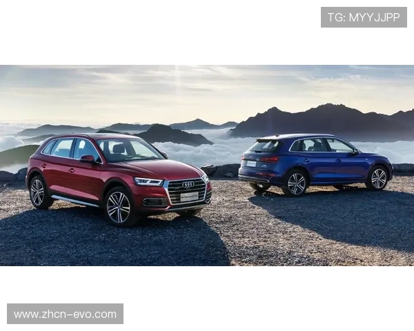 世界杯赛程选择策略全流程解析以百家乐思维为核心实战应用指南