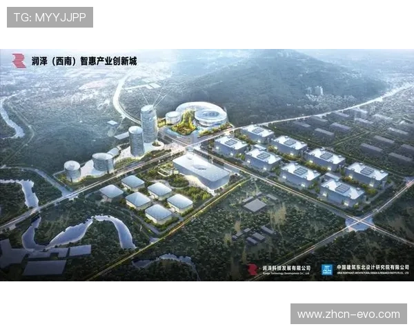 瑞丰国际引领全球投资布局推动产业升级与创新发展